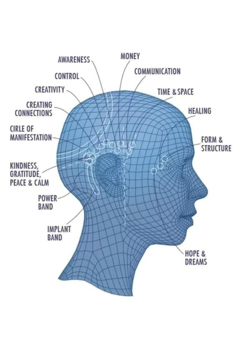 Professional medical consultation 7